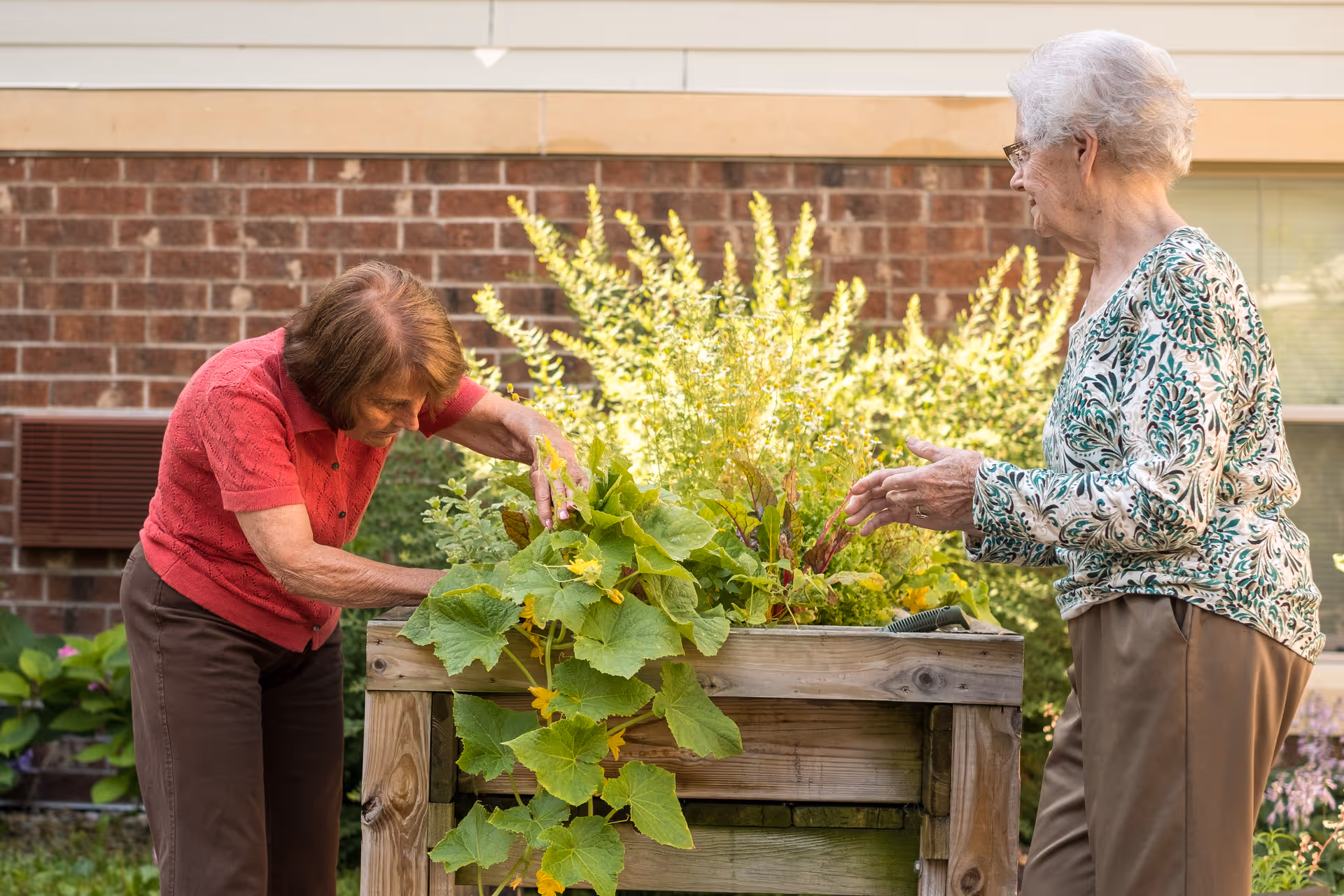 Two elderly women gardening together at a raised wooden planter box filled with green leafy plants and flowers, with a brick building wall in the background.