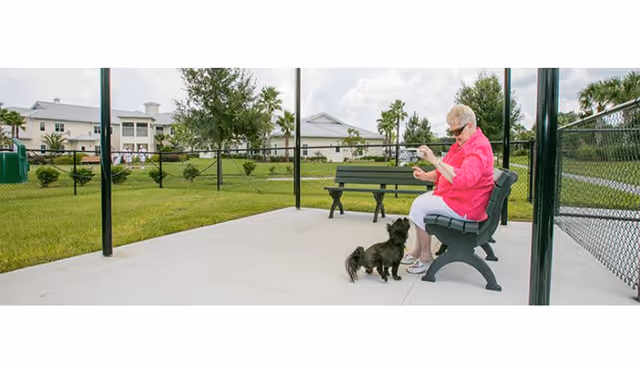 An elderly woman wearing a bright pink jacket and white pants sits on a bench under a covered outdoor area, playing with a small black dog. In the background, there is a grassy area with trees and a large building with white walls and multiple windows.