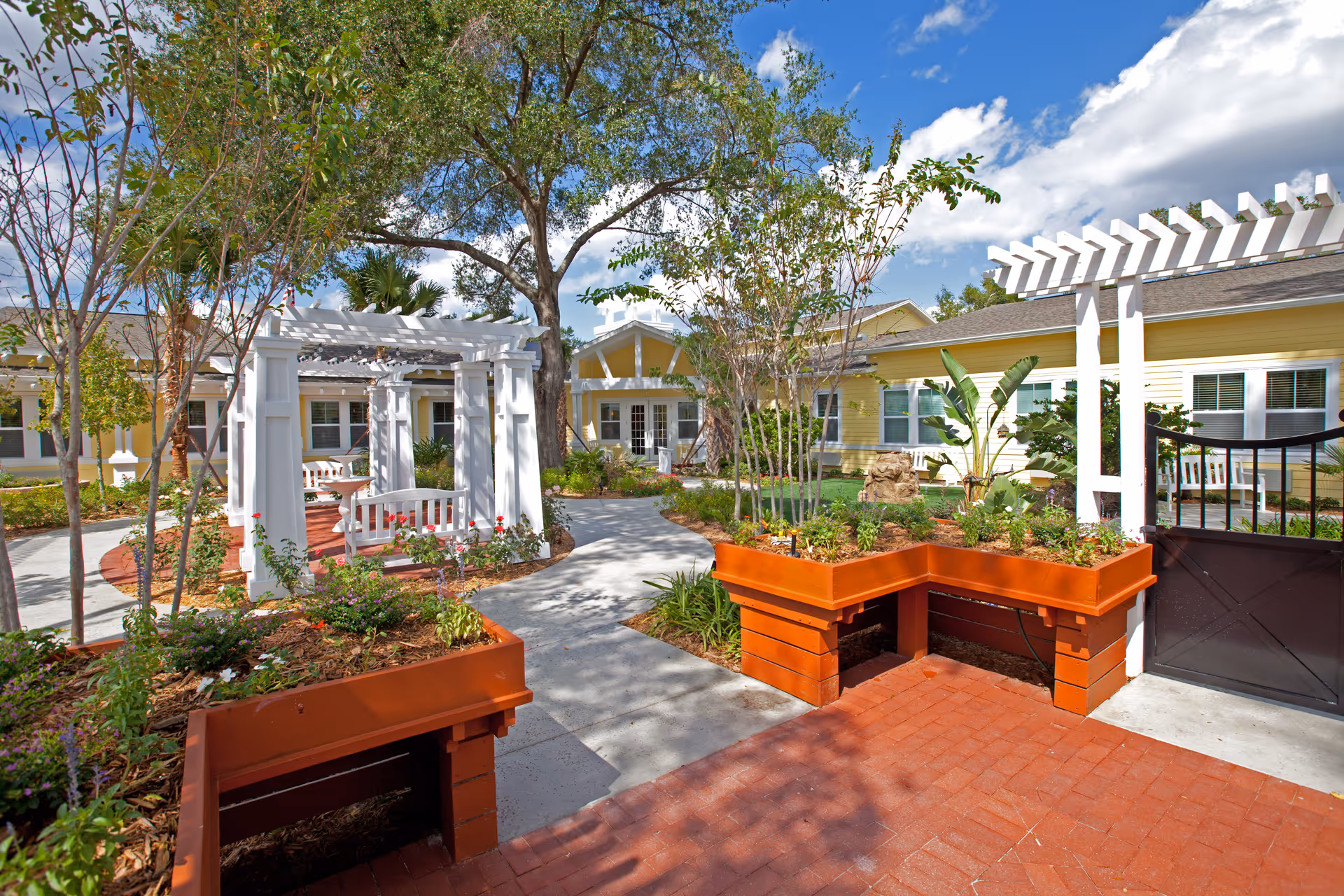 A sunny outdoor garden area at Serenades at Longwood featuring raised planter beds with various plants, white pergolas with benches underneath, a paved walkway, and yellow buildings in the background under a partly cloudy sky.