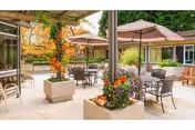 Outdoor patio area with several tables and chairs under large umbrellas surrounded by planters with colorful flowers and greenery, adjacent to a building with large windows.