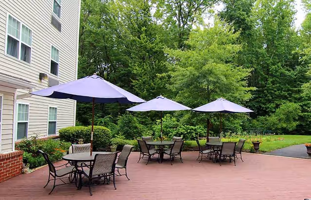 Outdoor patio area with three round tables, each shaded by a purple umbrella, surrounded by chairs. The patio is adjacent to a building with beige siding and white-framed windows. Lush green trees and bushes surround the patio, creating a serene natural backdrop.