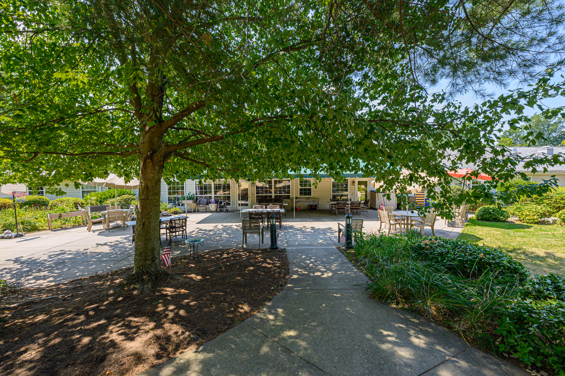 Outdoor patio area at Arden Courts - ProMedica Memory Care Community (Farmington) with a large tree providing shade over a concrete walkway and several tables and chairs arranged for seating. The building is visible in the background with windows and doors opening to the patio. Green shrubs and grass surround the area under a clear blue sky.
