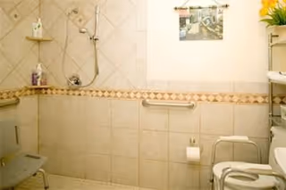 A bathroom with beige tiled walls and floor, featuring a walk-in shower with a handheld showerhead, a grab bar on the wall, a toilet with a safety frame, a toilet paper holder, and a small shelf with toiletries and a plant.