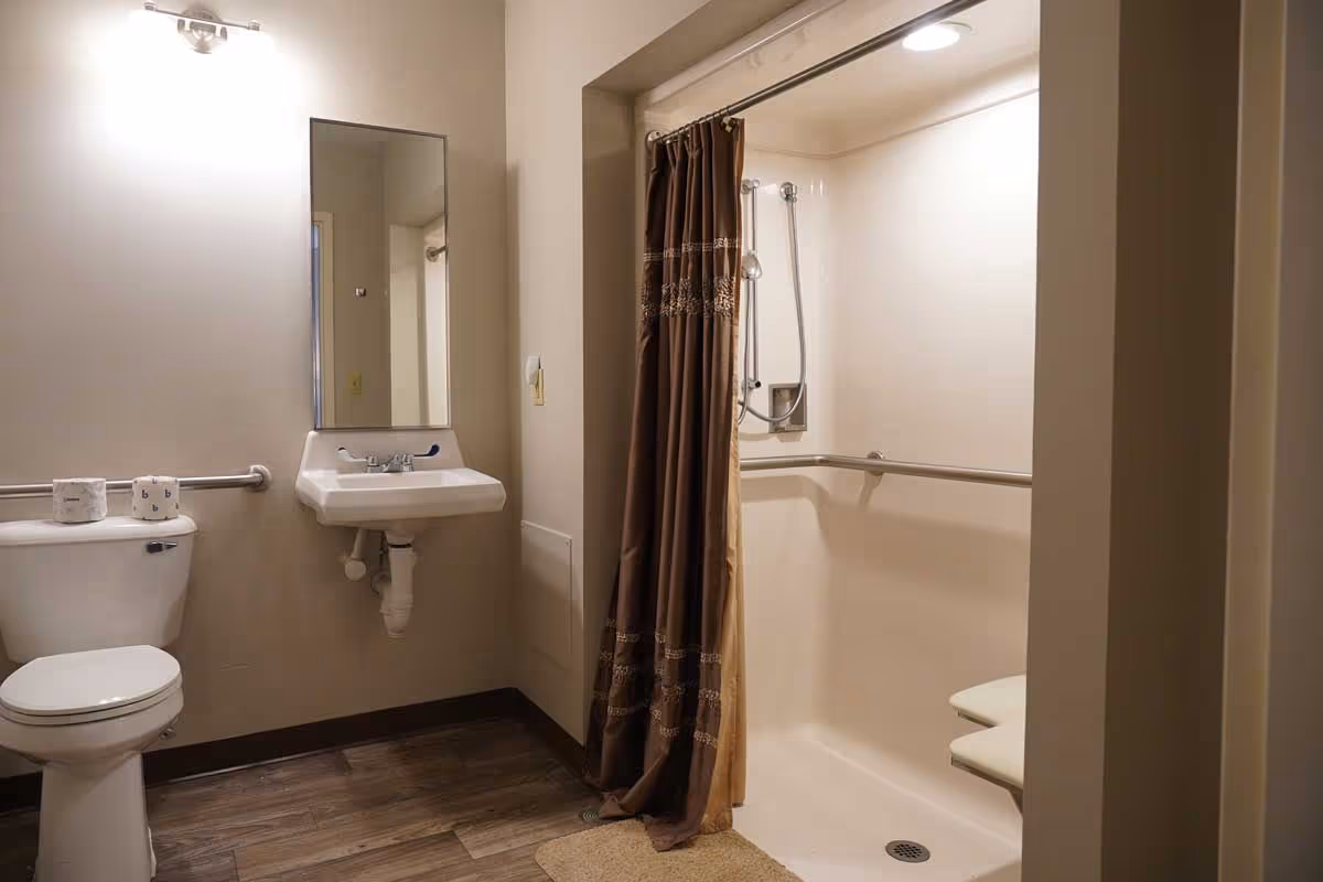 A bathroom with a toilet, a wall-mounted sink with a mirror above it, and a walk-in shower with a brown shower curtain and a built-in seat. The bathroom has grab bars for accessibility and wood-style flooring.