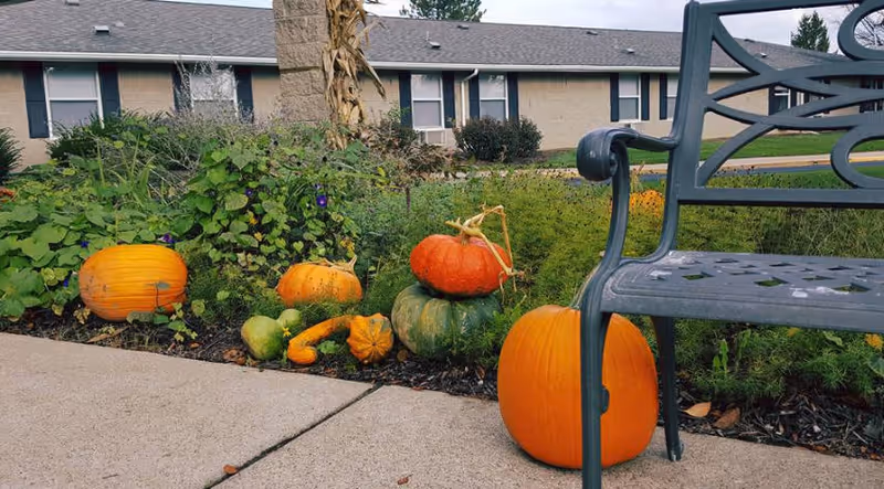 Outdoor garden area with various pumpkins and gourds arranged near a sidewalk and a metal bench, with a building in the background.