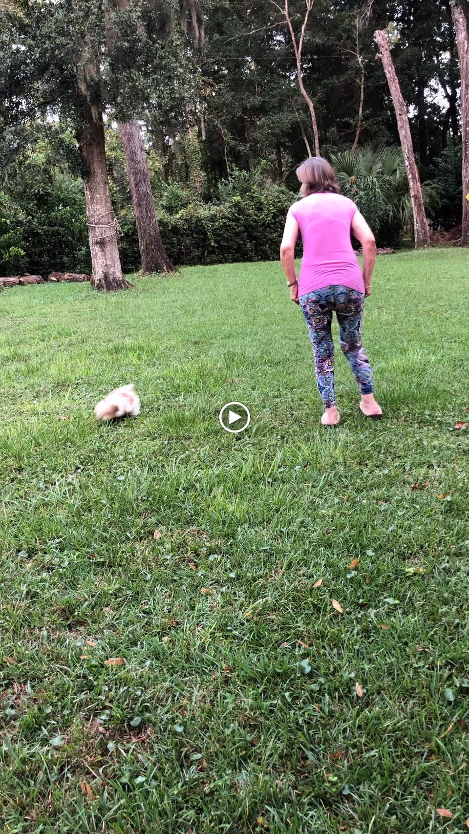 An elderly woman wearing a pink shirt and patterned leggings is walking barefoot on a grassy lawn with trees and bushes in the background. A small dog is running ahead of her on the grass.