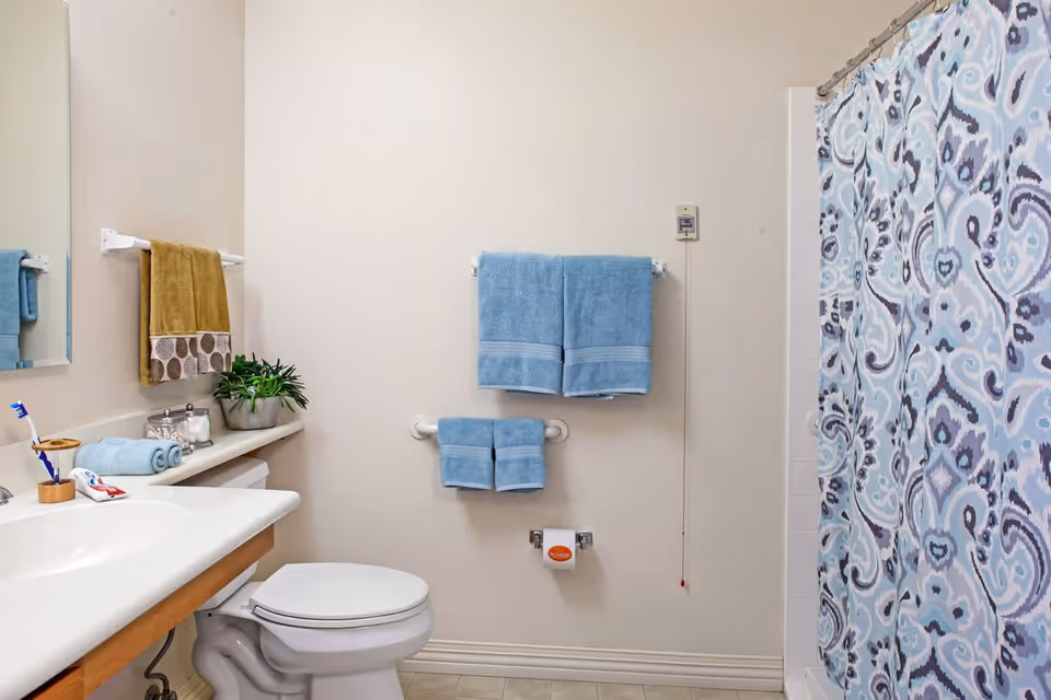 Small bathroom with a toilet, sink countertop, blue towels on racks and a patterned shower curtain.