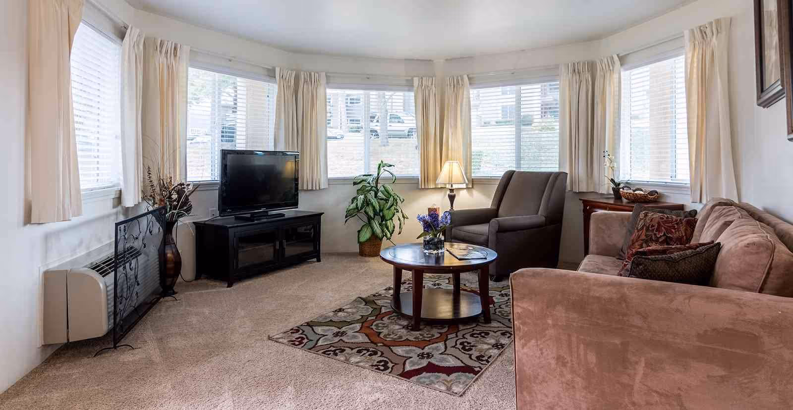 A cozy living room with a large bay window covered by cream-colored curtains. The room features a brown sofa with decorative pillows, a dark armchair, a round wooden coffee table with a small flower arrangement and a magazine, a patterned area rug, a TV on a black stand, a floor lamp, and a potted plant near the window.