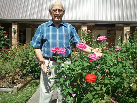 An elderly man wearing a blue plaid shirt and light-colored pants stands outdoors in a garden with blooming pink and red roses. Behind him is a building with a metal roof and brick walls.