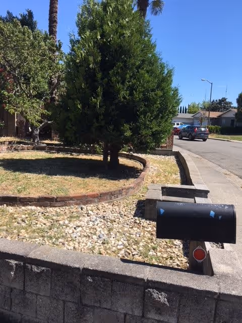 A residential street scene showing a mailbox in the foreground next to a low stone wall. Behind the mailbox is a small garden area with a tree and some grass bordered by a low brick edging. A car is parked on the street under a clear blue sky.