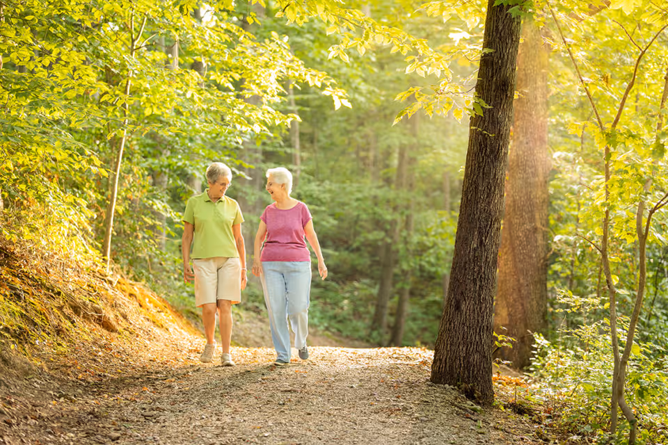 Two elderly women walking and talking on a sunlit forest trail surrounded by green trees and foliage.