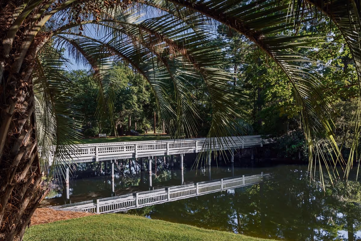 White wooden pedestrian bridge over a pond framed by palm fronds and trees, with the bridge reflected in the water.