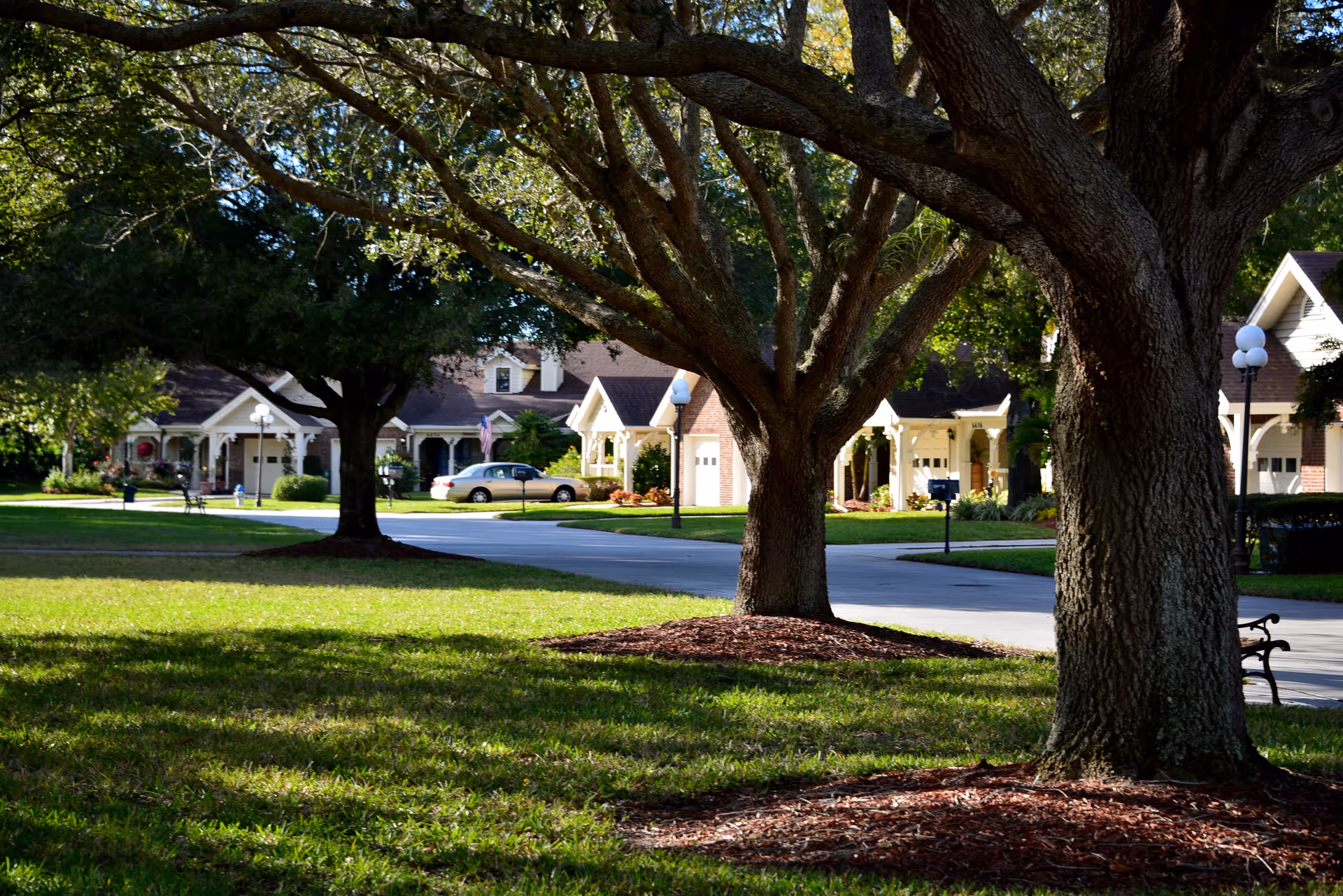 A peaceful outdoor scene at Freedom Village of Bradenton featuring large trees with thick trunks and green grass in the foreground. In the background, there are several single-story residential buildings with garages, driveways, and well-maintained landscaping under a clear sky.