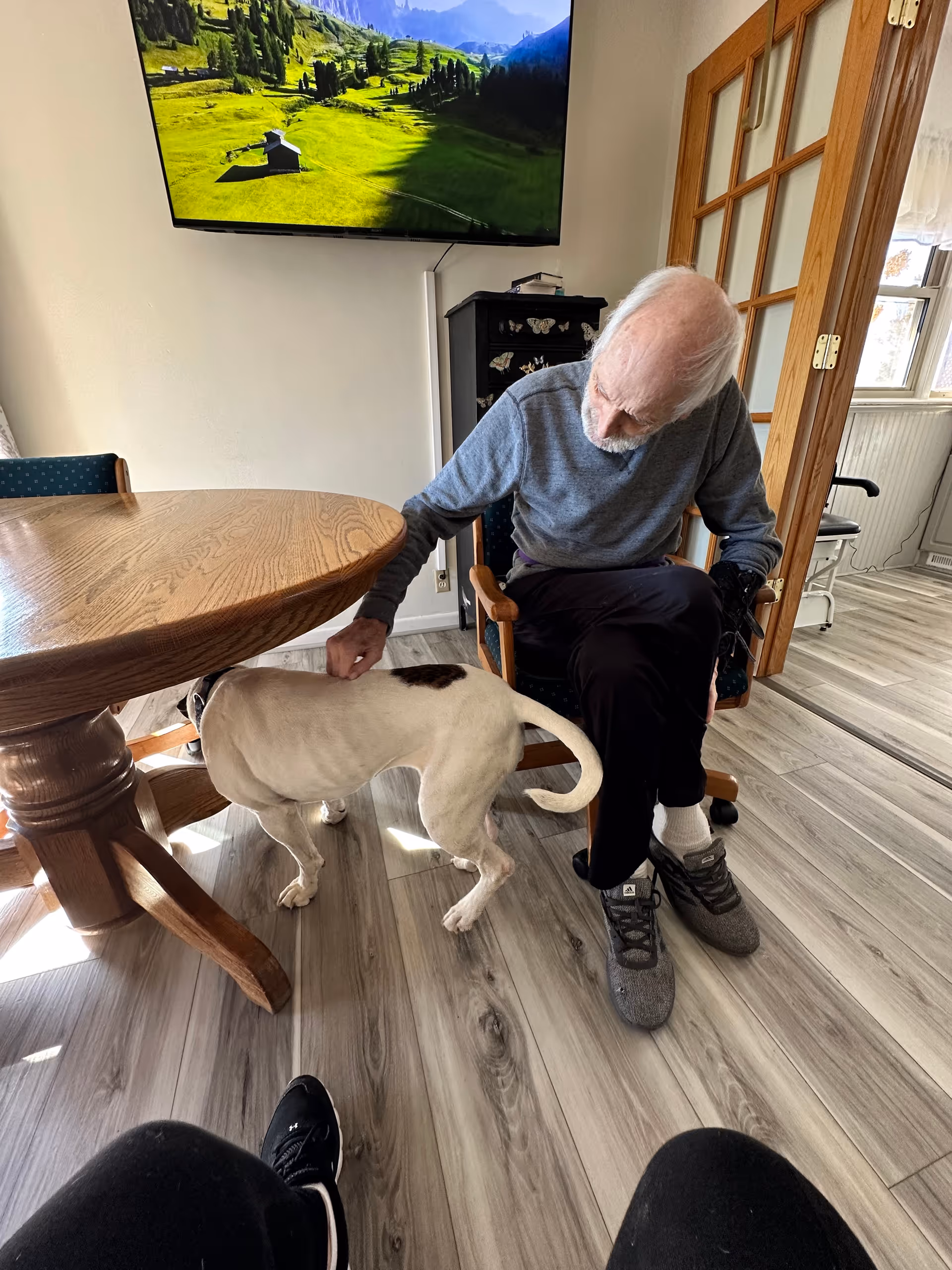 An elderly man sitting on a wooden chair in a room with light-colored wooden flooring, petting a white dog with a black spot on its back. There is a round wooden table nearby, a TV mounted on the wall displaying a scenic landscape, and a black cabinet with butterfly decorations. A door with glass panels and a window with white curtains are visible in the background.
