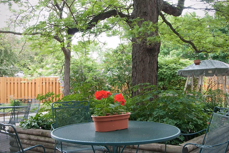 Outdoor garden area with green metal patio table and chairs. A rectangular planter with red flowers is placed on the table. Surrounding the seating area are lush green plants and trees, with a wooden fence in the background and a covered swing to the right.