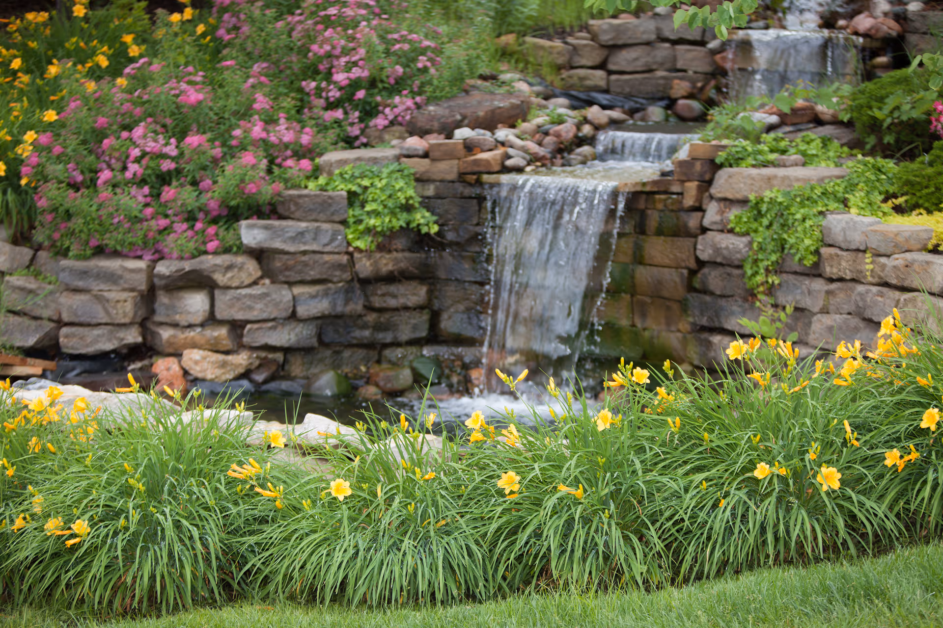 A landscaped outdoor garden with a stone waterfall surrounded by green plants and yellow flowers.
