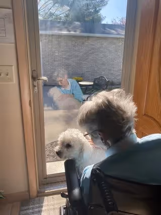 An elderly person sitting in a wheelchair inside a room near a glass door, looking outside at another elderly person sitting on a patio with a small white dog standing near the door.