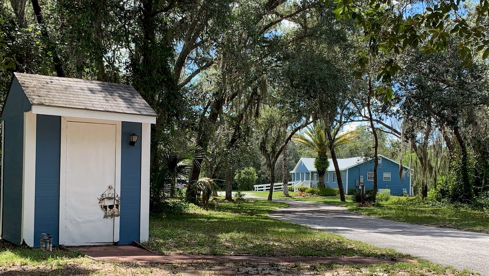 A small blue and white shed with a white door and a welcome sign featuring a cow hangs on the door. The shed is situated on a grassy area with trees around it. In the background, there is a blue house with white trim, a white railing, and a driveway leading up to it. The scene is outdoors with abundant greenery and sunlight filtering through the trees.