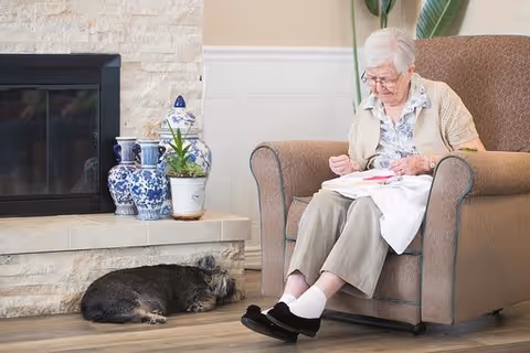 An elderly woman sits in an armchair sewing while a dog sleeps on the floor near a fireplace and decorative vases.