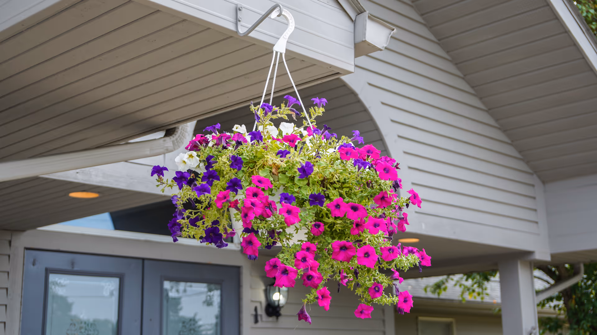 A hanging basket filled with vibrant pink, purple, and white flowers is suspended from the overhang of a building entrance with gray double doors and light gray siding.