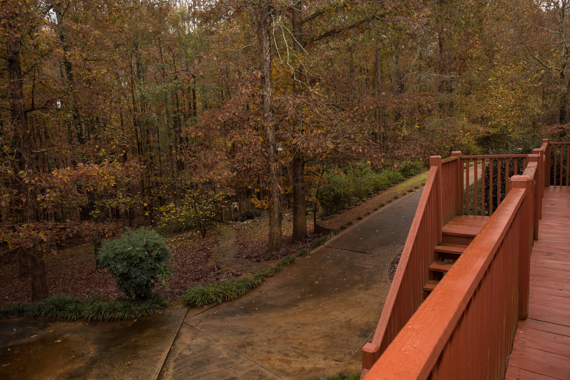 View from a wooden deck overlooking a winding concrete pathway surrounded by trees with autumn foliage and some green shrubs.
