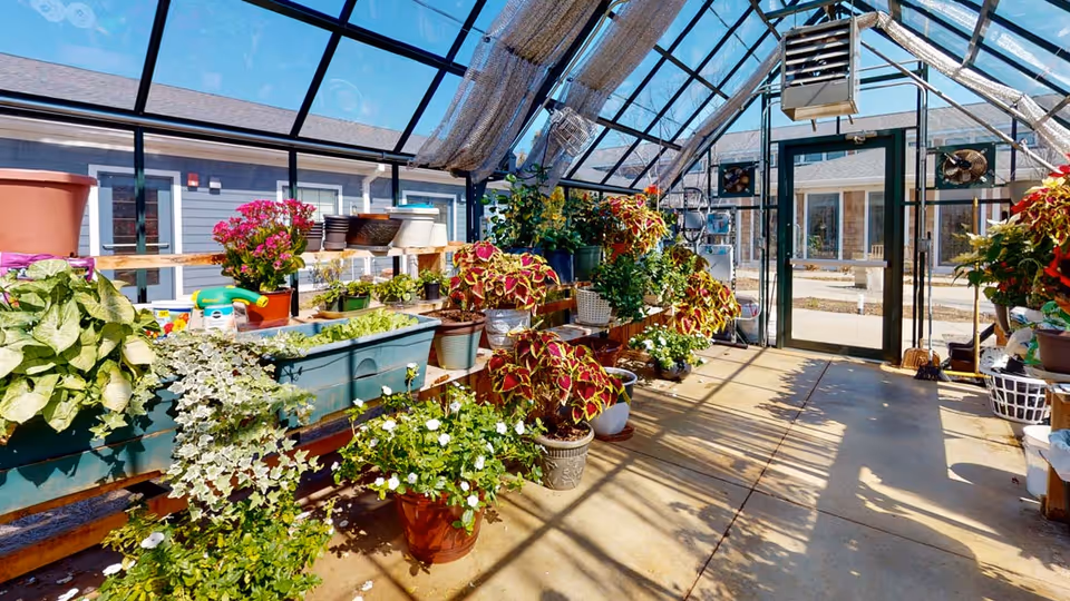 Interior view of a greenhouse with various potted plants and flowers arranged on shelves and the floor. The greenhouse has a glass roof and walls, allowing sunlight to illuminate the space. Outside, a building and courtyard are visible through the glass door.