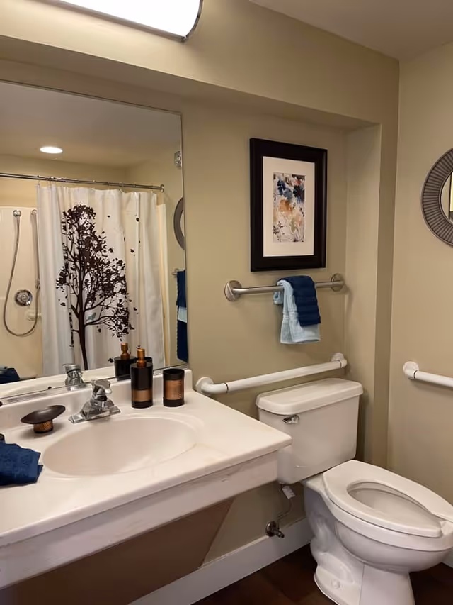 A clean and well-lit bathroom featuring a white sink with a silver faucet, a large mirror above the sink, and a toilet with safety grab bars on the walls. There is a shower curtain with a tree design, a framed abstract painting on the wall, and neatly folded blue towels hanging on a towel rack.