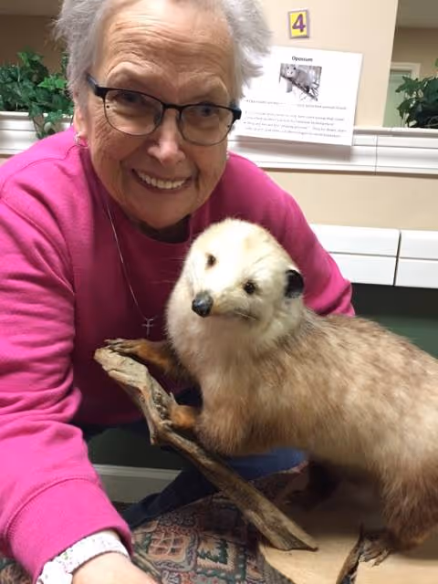 An elderly woman wearing glasses and a pink sweater smiles while posing with a taxidermy opossum mounted on a wooden base inside a room with beige walls and green trim.