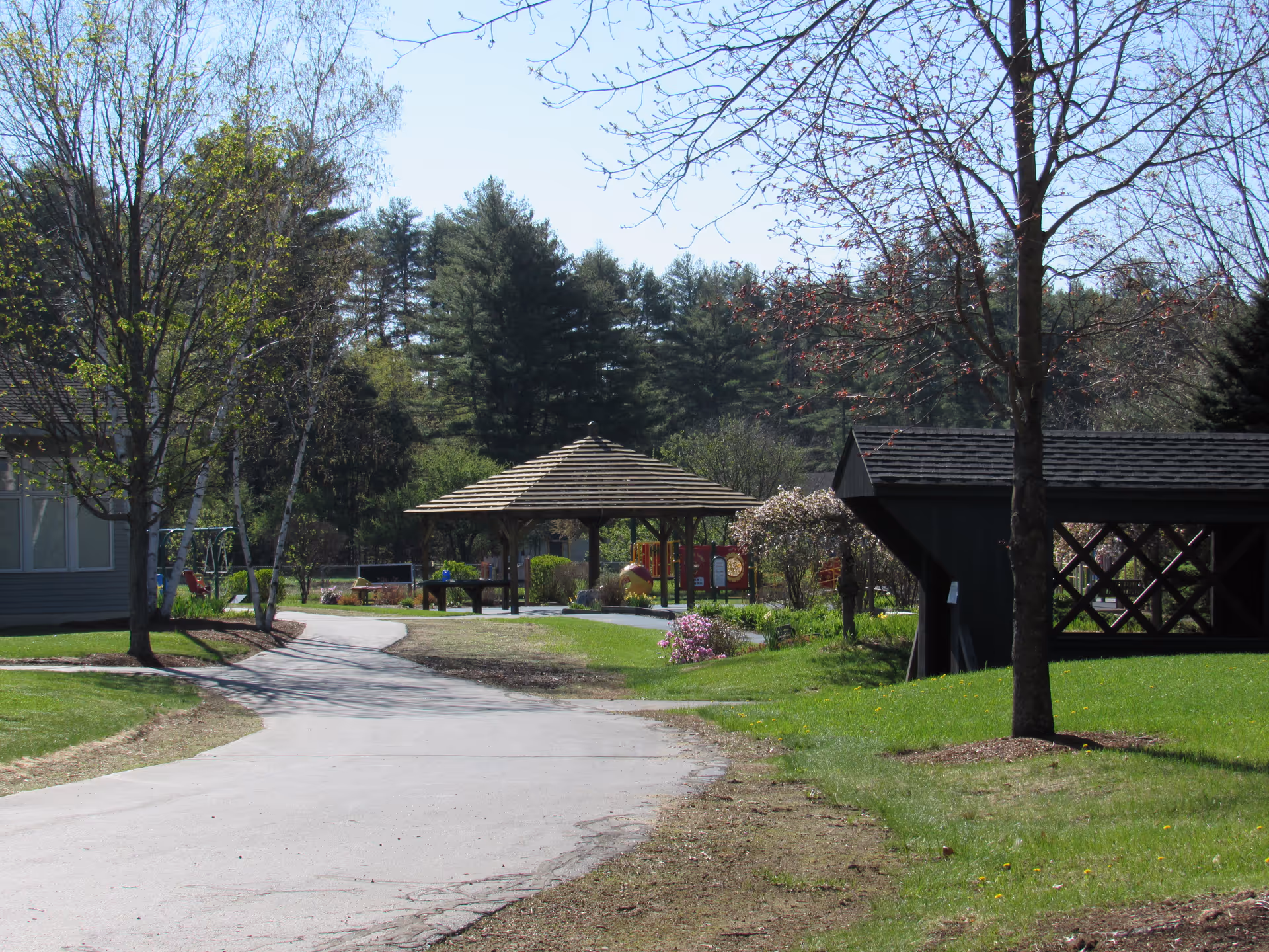 Outdoor view of a paved pathway leading to a wooden gazebo surrounded by green grass, trees, and shrubs. There is a covered wooden bridge structure on the right and a building partially visible on the left. The background shows a dense line of tall pine trees under a clear blue sky.