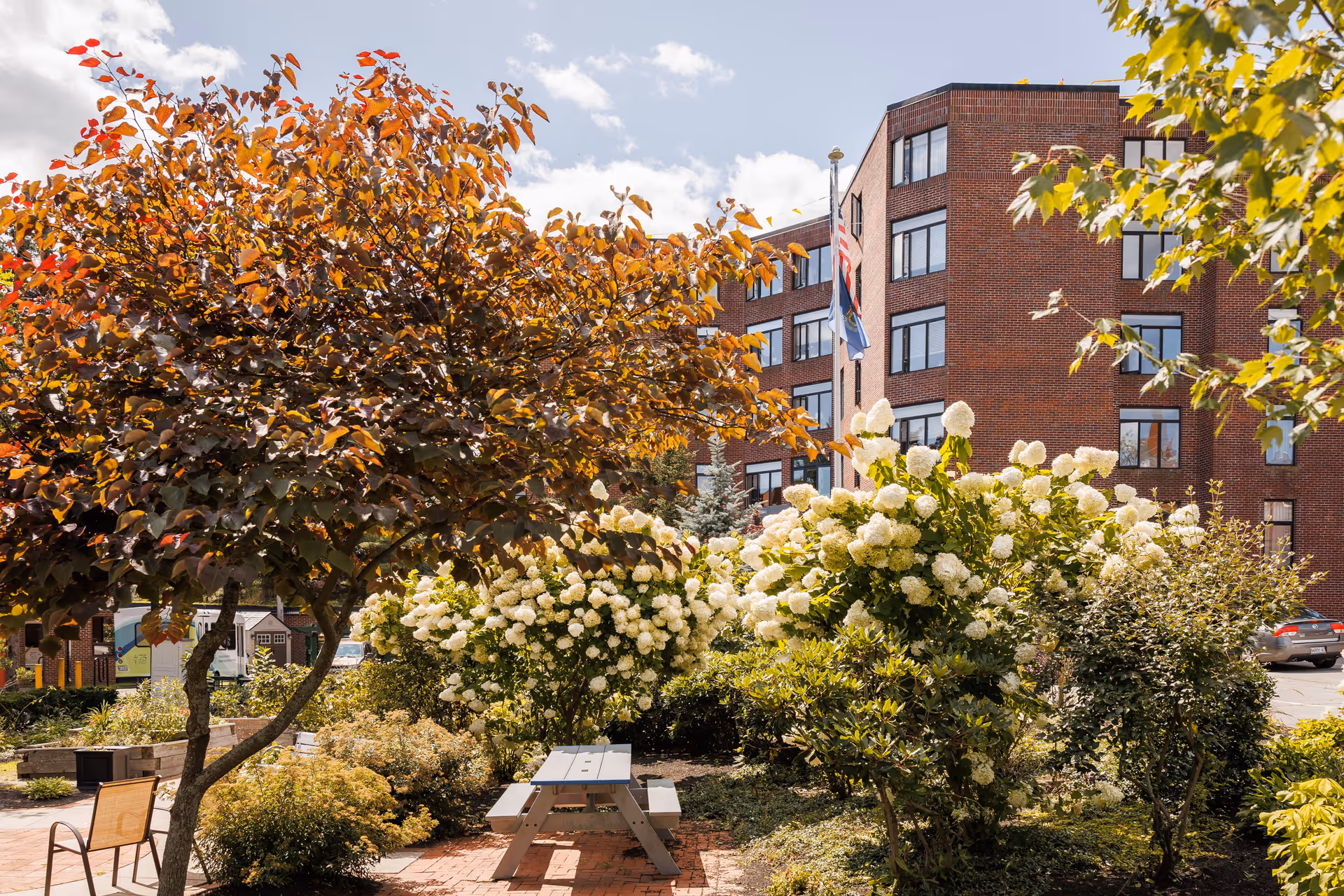 Outdoor garden area with a variety of trees and flowering bushes, including a tree with reddish leaves and white hydrangea flowers. A picnic table and a chair are visible on a brick-paved area. In the background, there is a multi-story brick building with several windows and two flags on flagpoles.