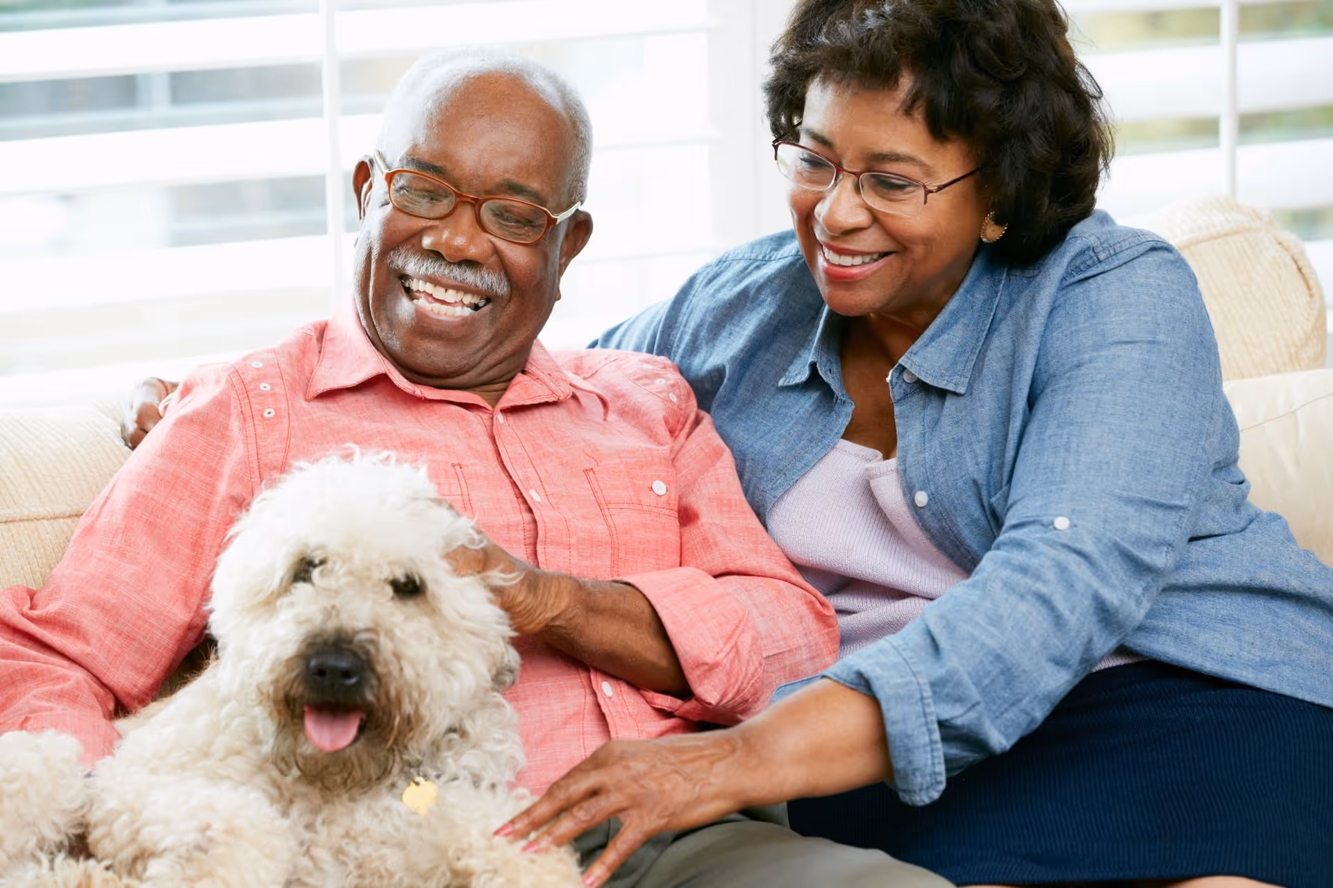 An older couple sitting on a couch smiling while petting a fluffy dog.