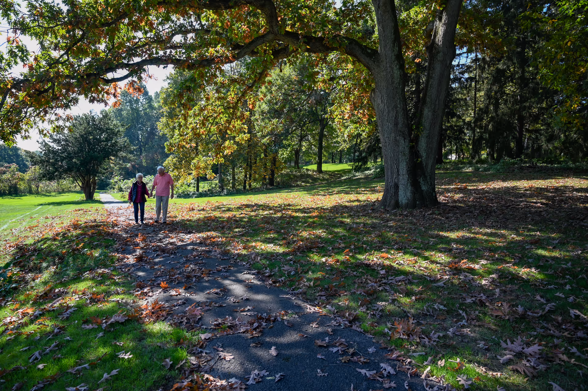 An elderly couple walking hand in hand on a paved path through a park-like outdoor area with large trees and fallen autumn leaves scattered on the grass and path.