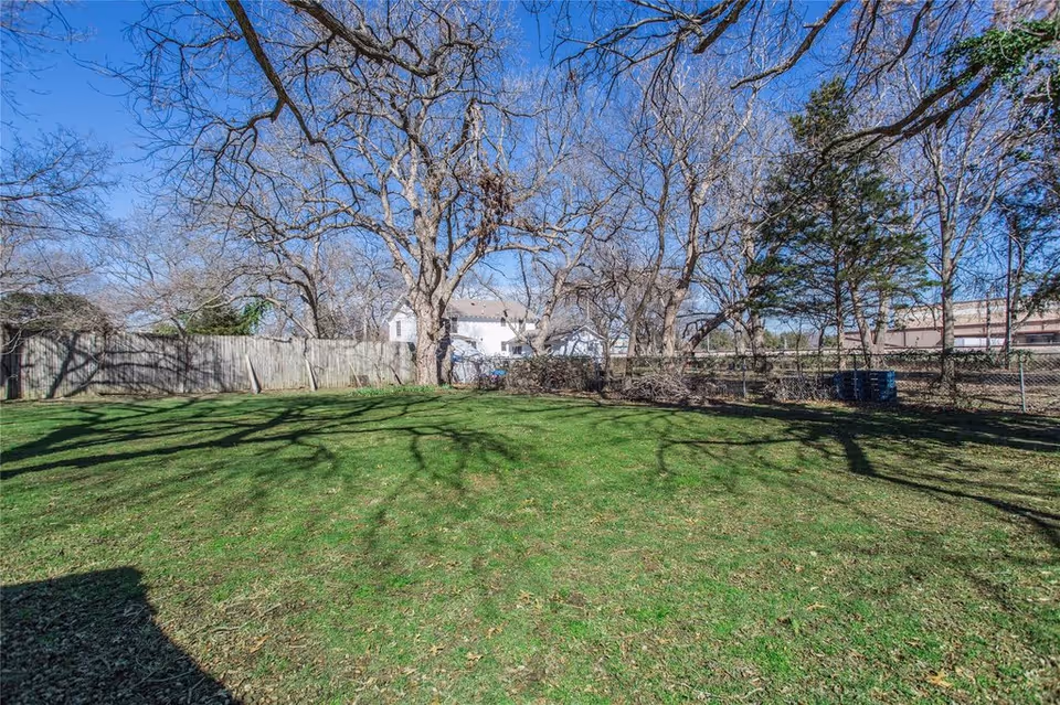 Sunlit backyard lawn with large leafless trees, wooden and chain-link fences, and a house visible beyond.