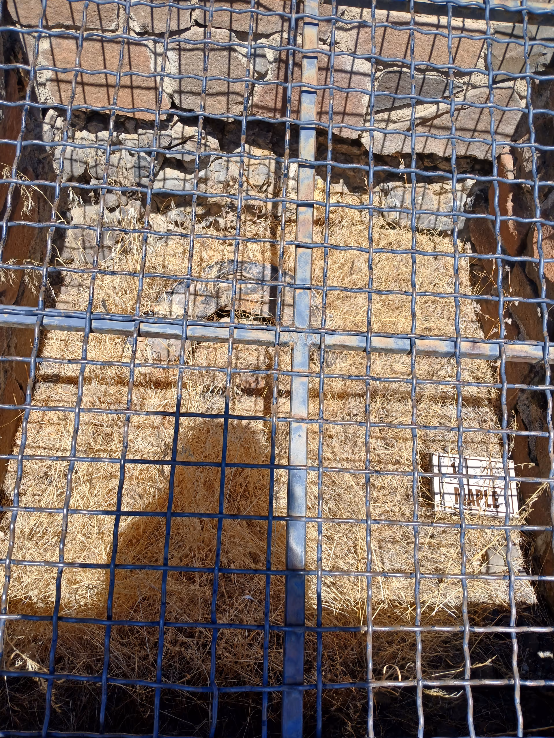 View through a metal grid grate down into a stone-lined pit filled with straw and a person’s shadow.