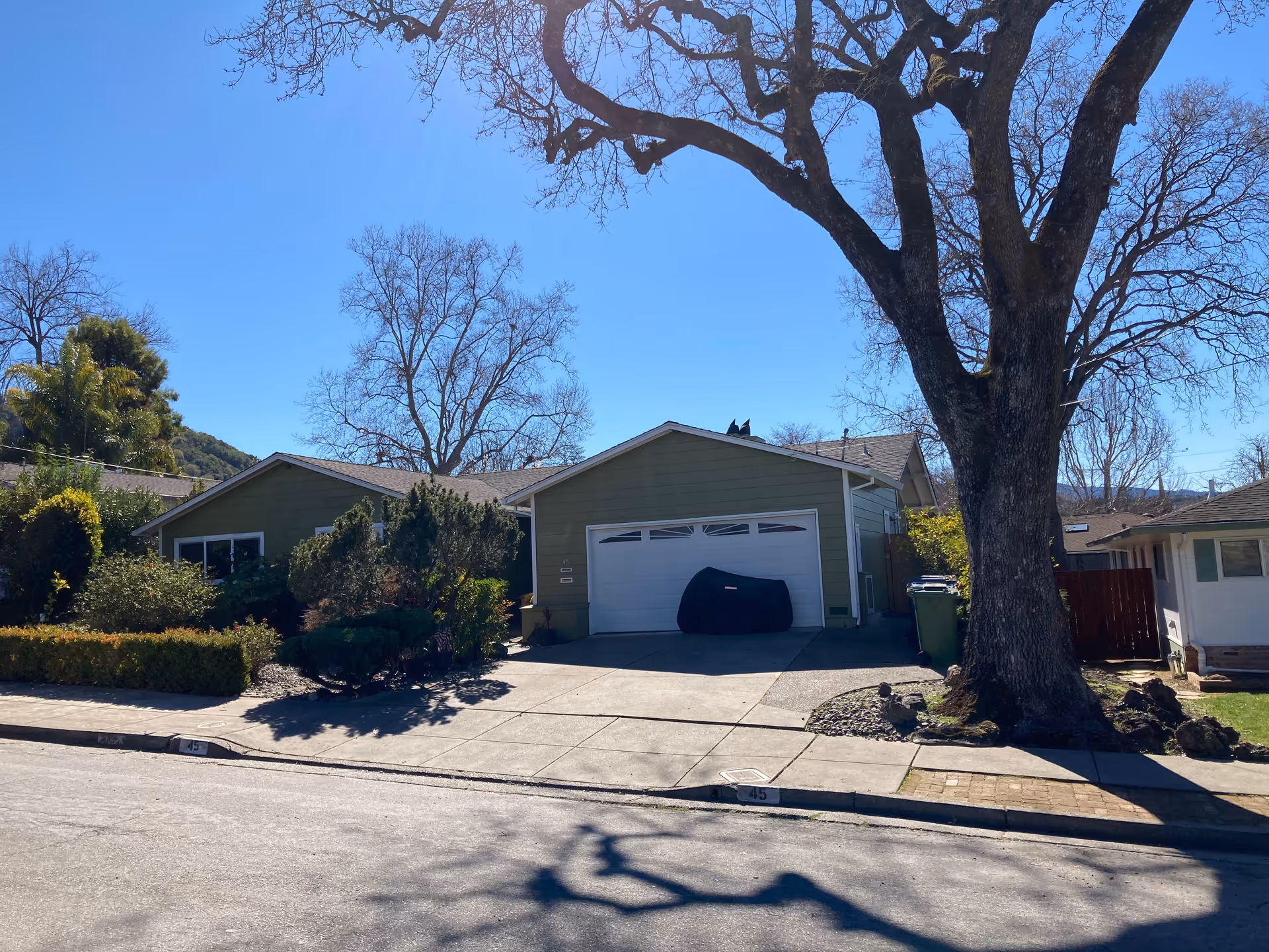 Exterior view of a single-story residential building with a green facade and a white garage door. There is a large tree in the front yard casting shadows on the driveway and sidewalk. Shrubs and bushes are planted along the front of the house, and the sky is clear and blue.