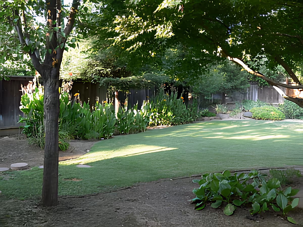 A serene outdoor garden area with a well-maintained lawn, various green plants, and trees providing shade. There is a wooden fence in the background surrounding the garden.