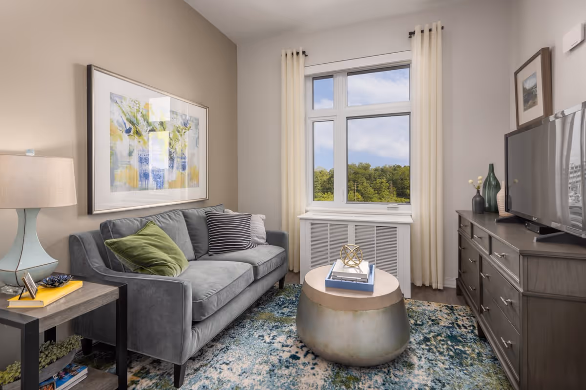 Bright living room with a gray sofa, round metallic coffee table, TV on a dresser, and a window overlooking trees.