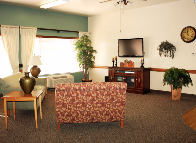 Cozy living room with a patterned sofa facing a wall-mounted TV on a wooden console, armchairs, plants, and a large curtained window.