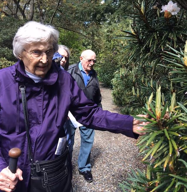 An elderly woman wearing a purple jacket and glasses is touching a plant along a gravel path in a garden. Behind her, an elderly man and another person are walking along the path surrounded by greenery.