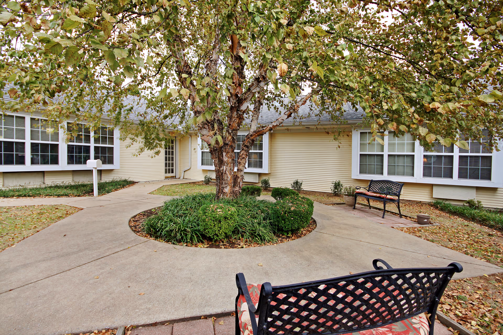 A courtyard with a central tree surrounded by a circular concrete walkway and benches in front of a single-story building.