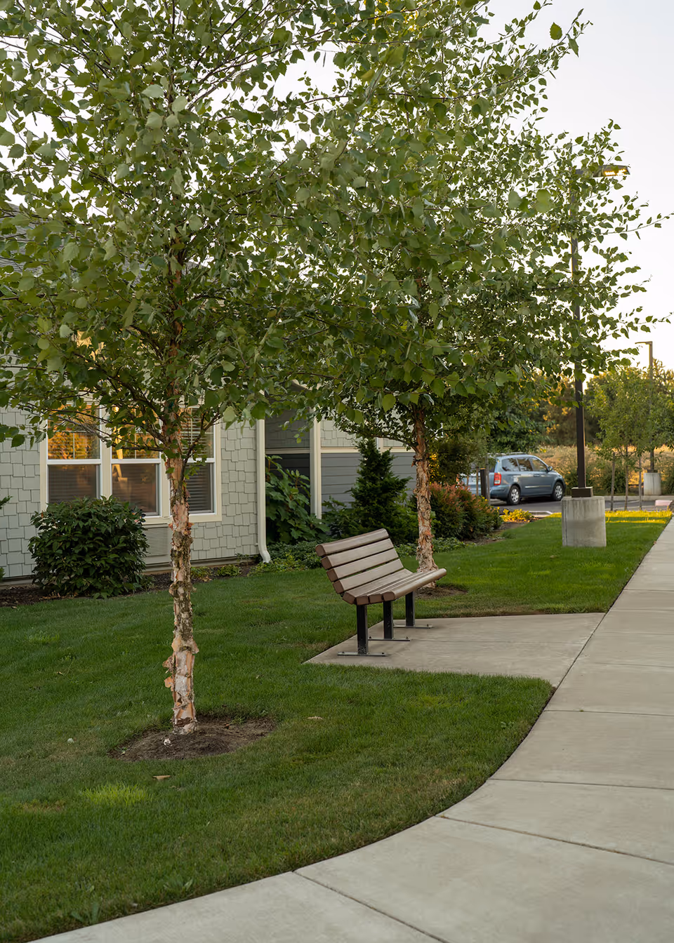 Outdoor area of a senior living facility with two small trees, a wooden bench on a concrete pad, green grass, a sidewalk, and part of a building with windows in the background. A parked car and some landscaping are also visible.