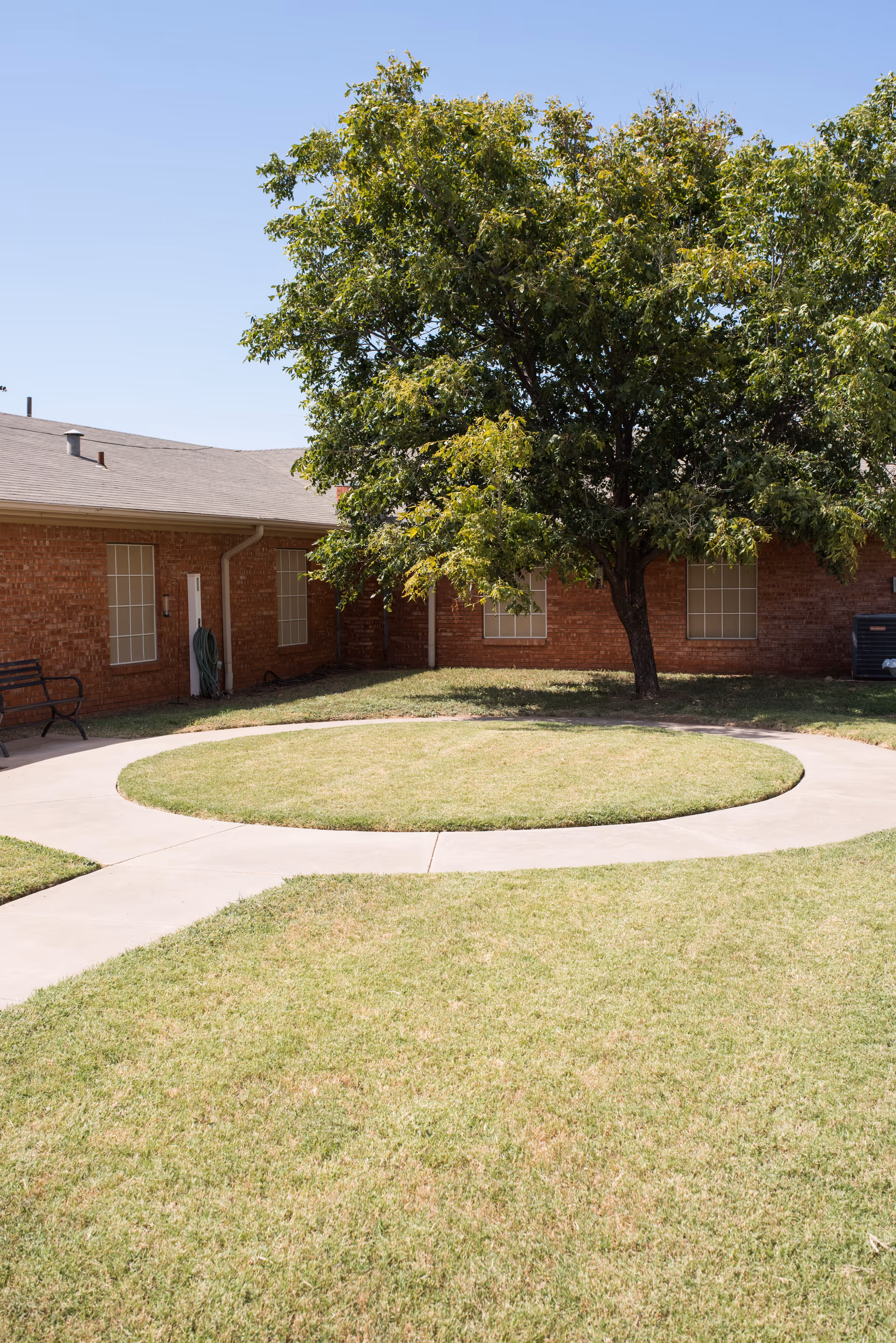 Outdoor courtyard area with a large tree in the center surrounded by a circular concrete walkway, green grass, a brick building with windows in the background, and a bench on the left side.
