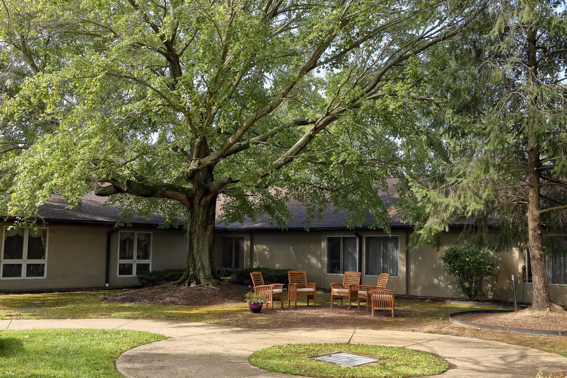 Outdoor seating area with five wooden chairs arranged in a circle under a large leafy tree in front of a single-story building with multiple windows. The area is surrounded by grass, a paved walkway, and other trees and shrubs.