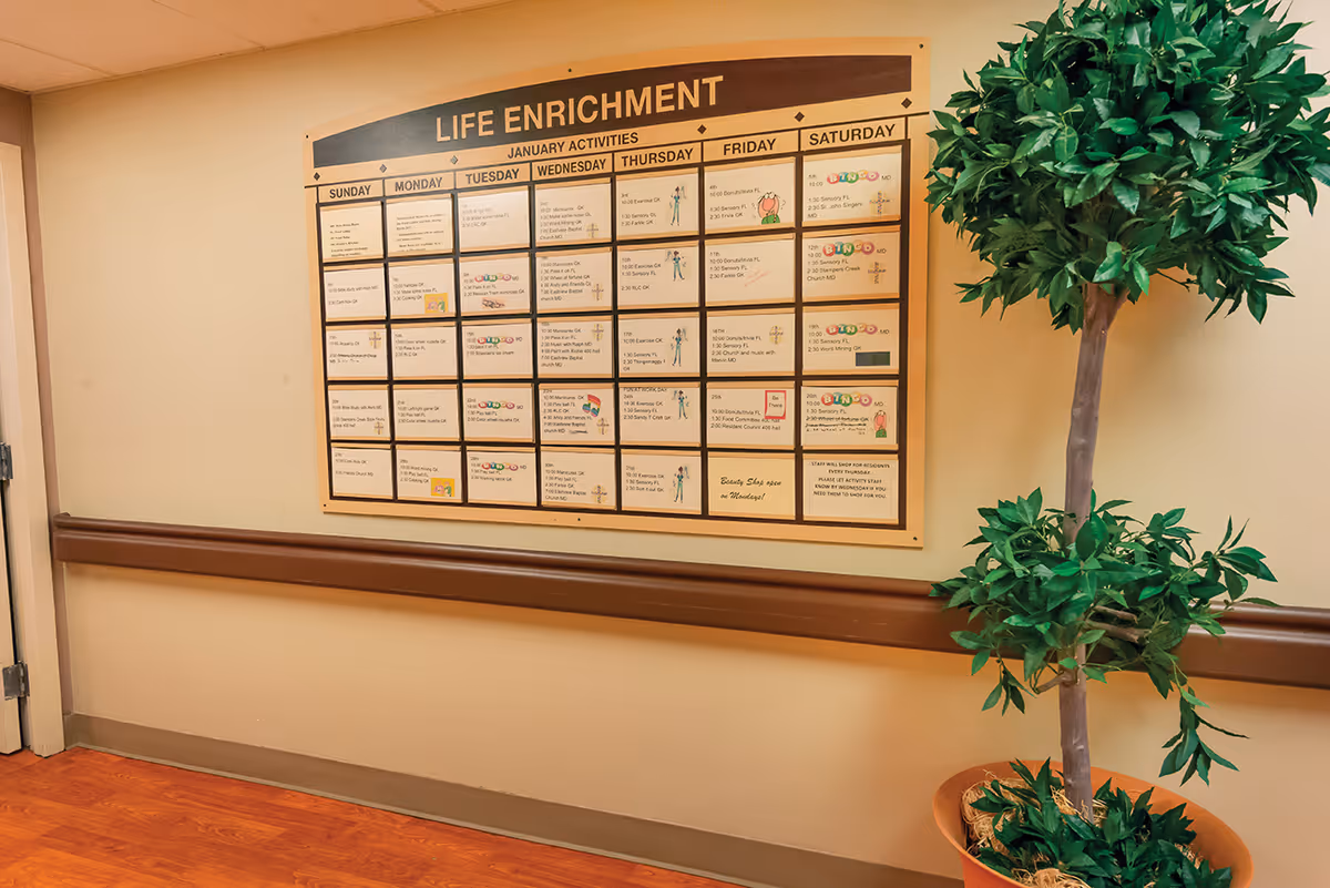 A hallway wall with a 'Life Enrichment' monthly activities board mounted above a handrail and a potted plant beside it.