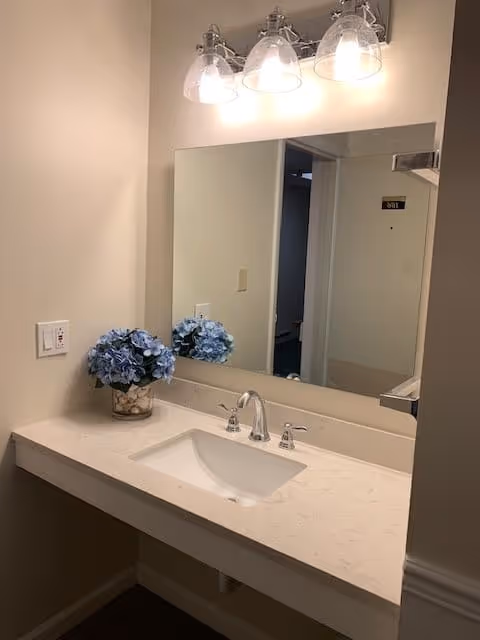 Bathroom vanity with an undermount sink, large mirror, three-light fixture, and a vase of blue flowers.