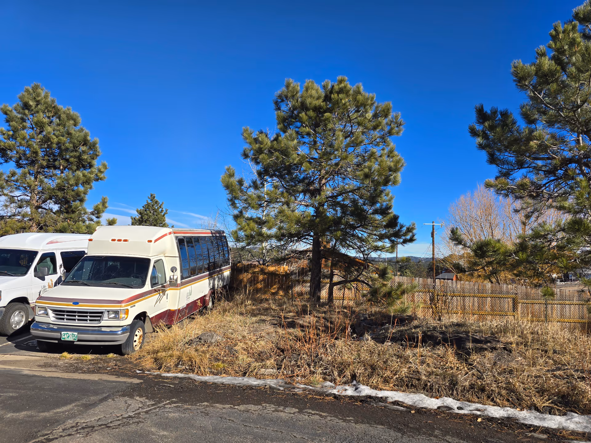 A parked shuttle van and another vehicle beside pine trees and a fenced, grassy lot under a clear blue sky.