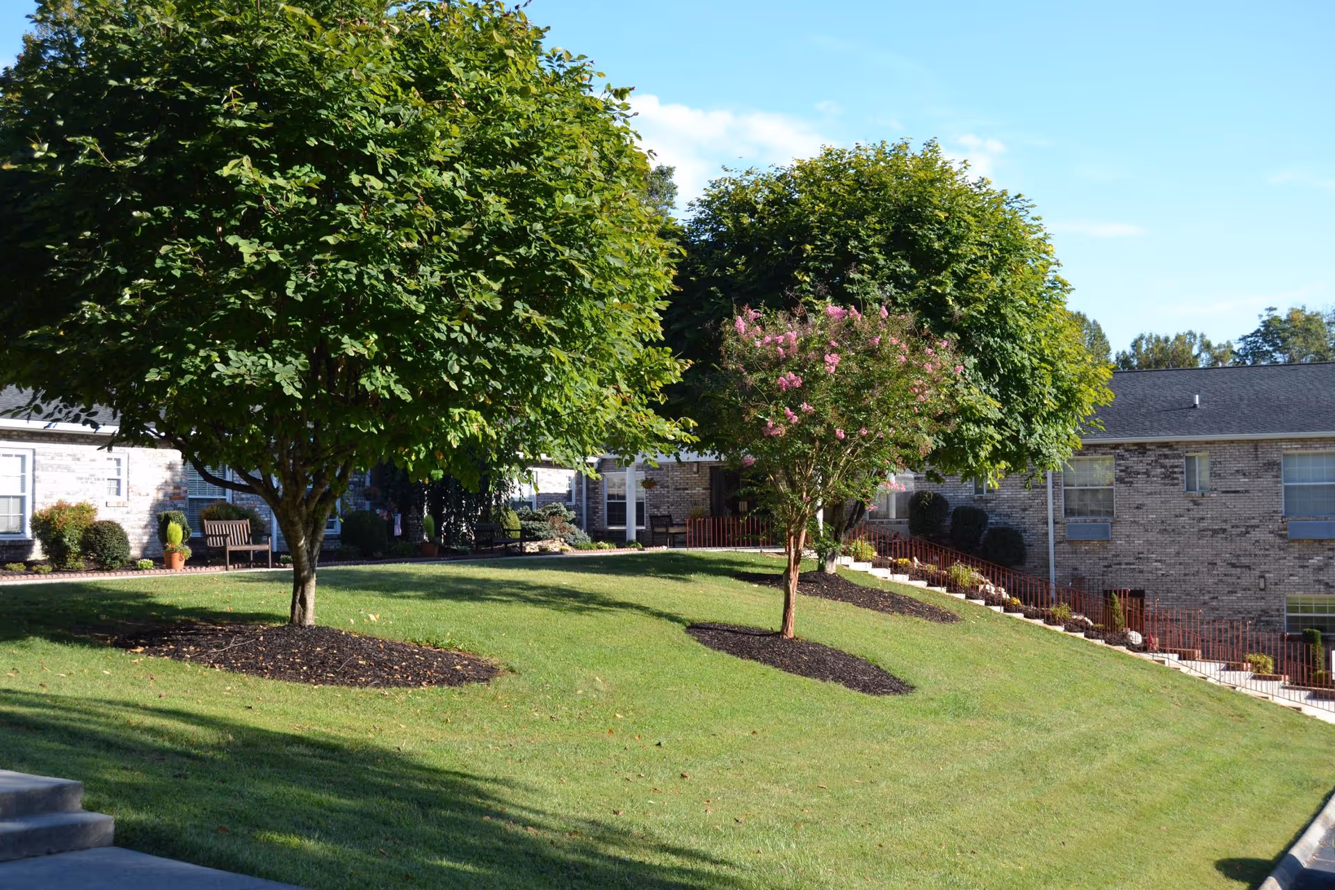 Sunlit grassy courtyard with two trimmed trees and a brick senior living building in the background.