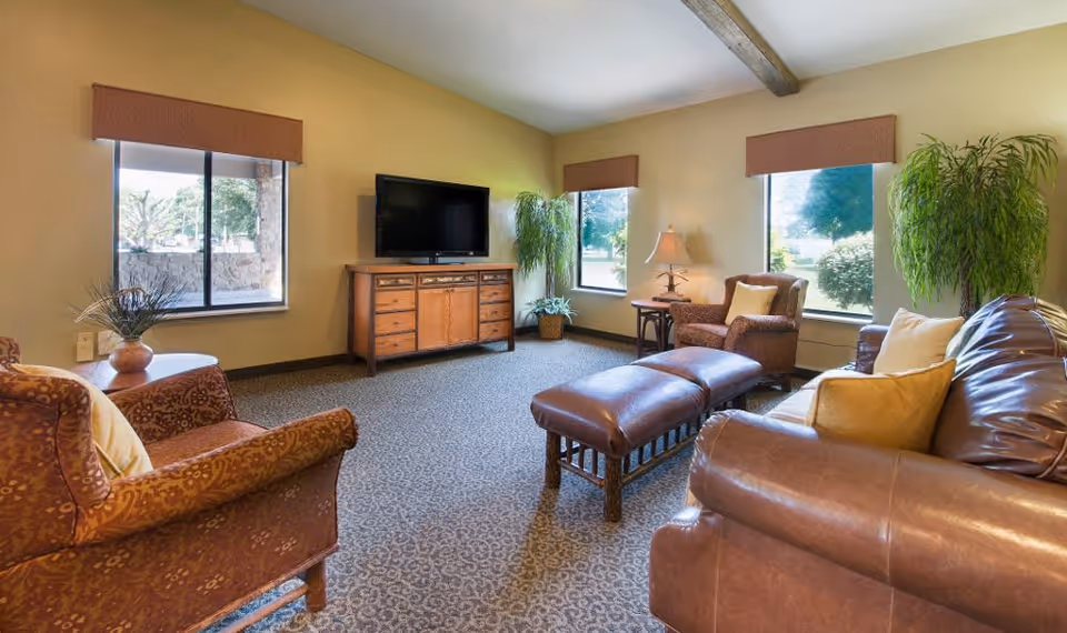 A cozy living room with a brown leather sofa, two patterned armchairs, a wooden TV stand with a flat-screen television, two large windows with brown valances, a floor lamp, and two large potted plants. The room has a carpeted floor and beige walls with a wooden beam on the ceiling.