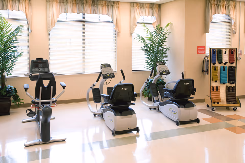 Bright exercise room with three recumbent stationary bikes, potted plants, and a rolling rack of colored therapy weights.