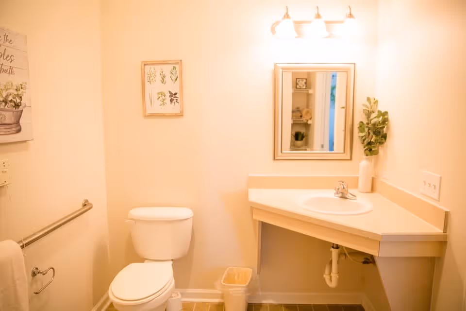 A small bathroom with a white toilet, a corner sink with a faucet, a mirror above the sink, a wall-mounted light fixture with three bulbs, a small trash bin, a towel rack with a white towel, and two framed botanical prints on the walls.